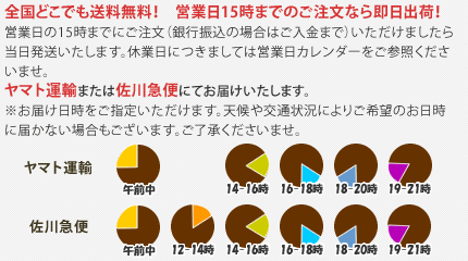 全国どこでも送料無料