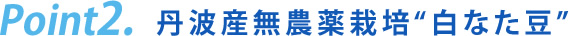 丹波産無農薬栽培“白なた豆”