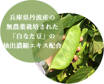 兵庫県丹波産の無農薬栽培された「白なた豆」の抽出濃縮エキス
