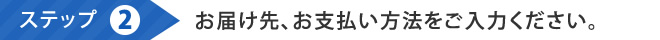 お届け先、お支払い方法をご入力ください。