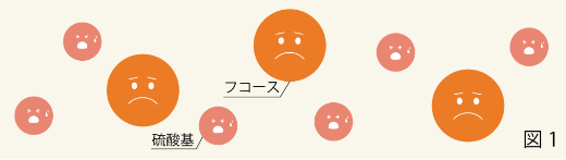 硫酸基がバラバラになった状態（図1）
