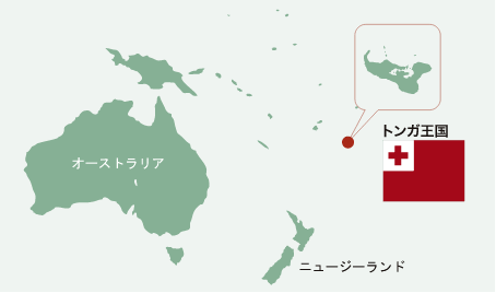 自然豊かで美しい海 トンガ王国産の天然もずく